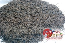 Tree Fern Fiber.jpg