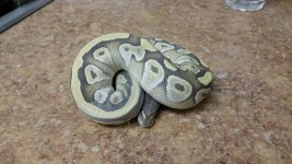 20150209_135451.jpg