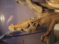 DSCF1103 (2).jpg