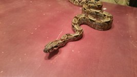 20150203_173746.jpg