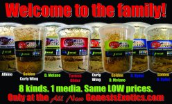 welcometothefamily.jpg