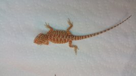 20150530_103010.jpg