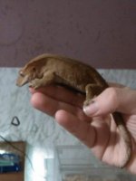 IMG_21874179718414.jpeg