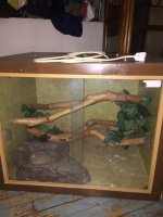 cage 1.jpg
