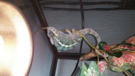 20141207_173739.jpg