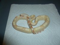 Albino Female het Anery 3 004.jpg