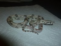 Ghost het Female 9 005.jpg