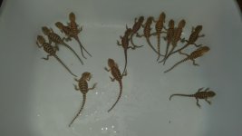 20150505_094024.jpg