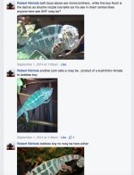 Screen Shot 2015-06-12 at 2.36.19 PM.jpg