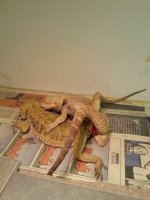 2015013195151622.jpg