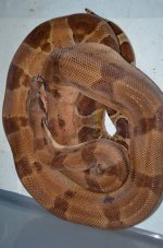 DSC_0794.jpg