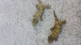 20150119_150421.jpg