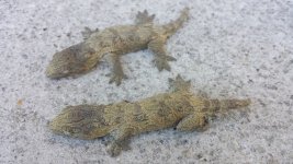 20150119_150539.jpg
