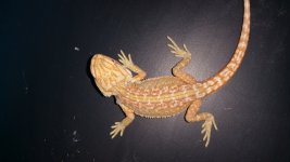 20150612_185704.jpg