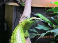 IMG_0599.jpg