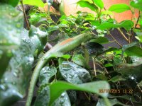 IMG_0619.jpg