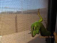 IMG_0652.jpg