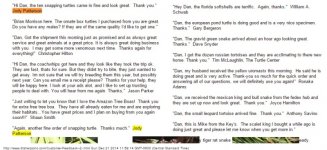 Customer-Feedback--2-cropped.jpg