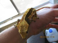 IMG_0708.jpg