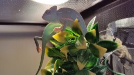 20150518_095905.jpg