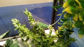 20150518_095921.jpg