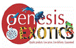 Logo #1.gif