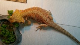 20150513_094409.jpg