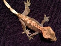 IMG_0193.jpg