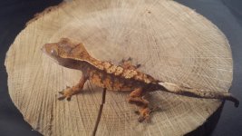 20150705_224622.jpg