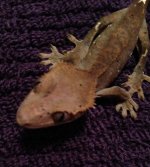 IMG_0213.jpg