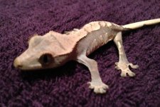 IMG_0216.jpg
