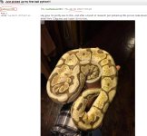 eeeeeeeeeee.jpg