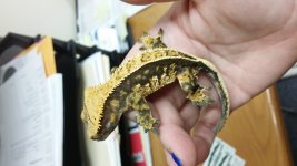 20140918_094835.jpg