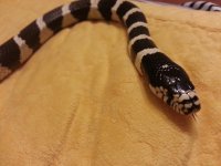 20150221_230924.jpg