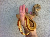 photo.6 small.jpg