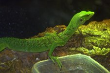IMG_9742.jpg