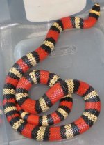 Tricolor vertical.jpg