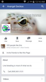 Screenshot_2015-04-09-00-16-24.jpg