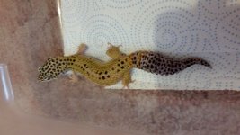 20150405_143308.jpg