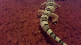 20150401_020434.jpg