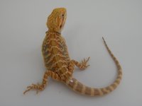 DSCN2529.jpg