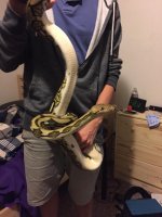 citrontigerf5.jpg