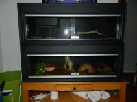 DSCN0628.jpg