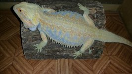 20150509_210453.jpg