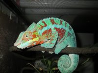 IMG_0099.jpg