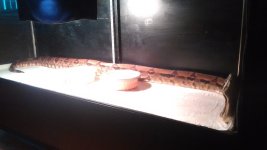 IMG_20150629_184818.jpg