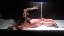 IMG_20150615_225754.jpg