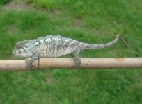 DSC04245.jpg
