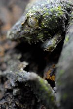 DSC_0393.jpg