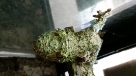 20150306_141328.jpg
